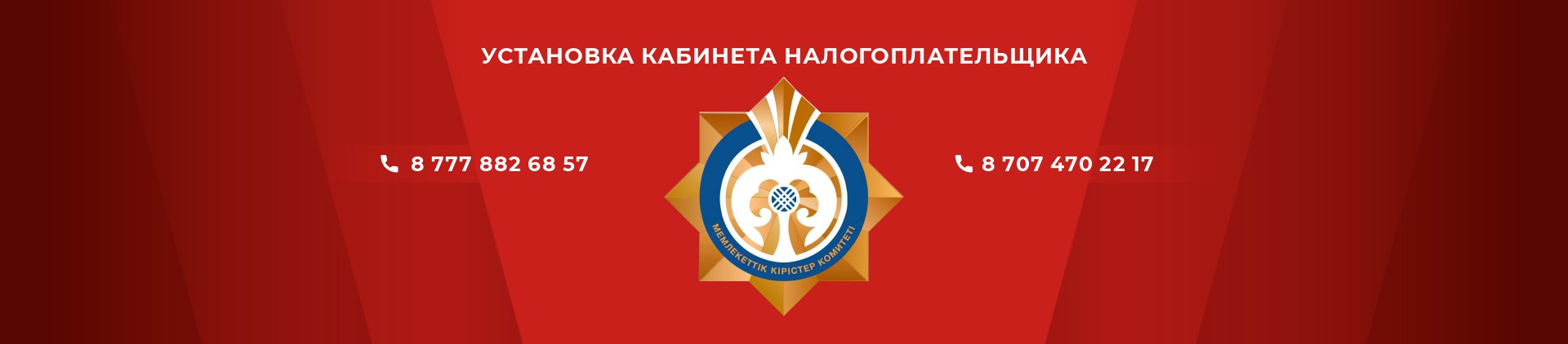 Установка кабинета налогоплательщика в Астане